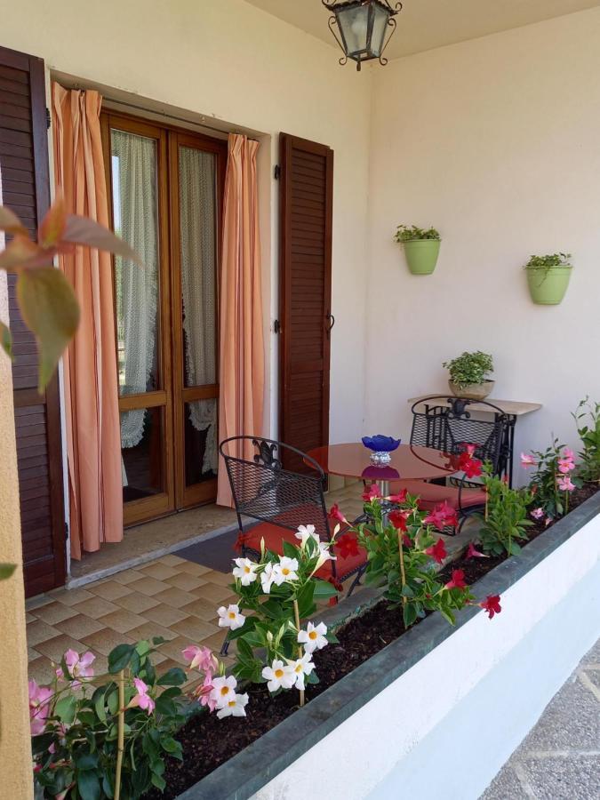B & B Cedro Argentato Legnago Luaran gambar