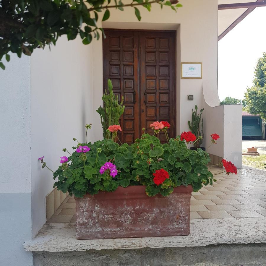 B & B Cedro Argentato Legnago Luaran gambar